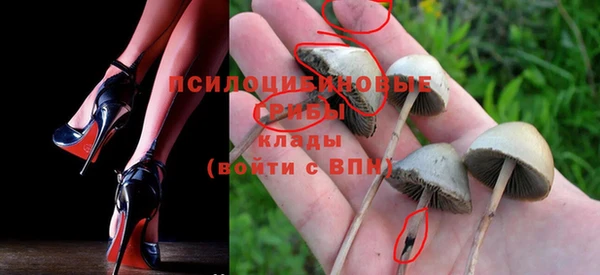 PSILOCYBIN Костерёво