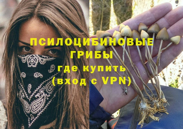 apvp Коряжма