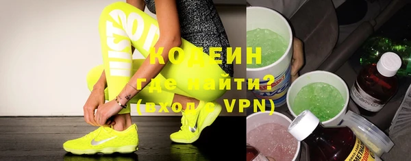 ГАЛЛЮЦИНОГЕННЫЕ ГРИБЫ Корсаков