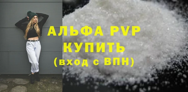 ГАЛЛЮЦИНОГЕННЫЕ ГРИБЫ Корсаков