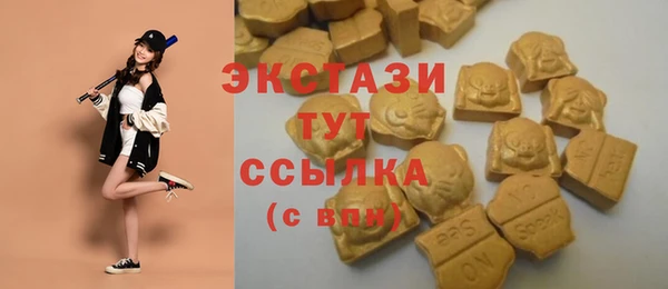 PSILOCYBIN Костерёво