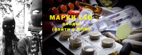 ГАЛЛЮЦИНОГЕННЫЕ ГРИБЫ Корсаков