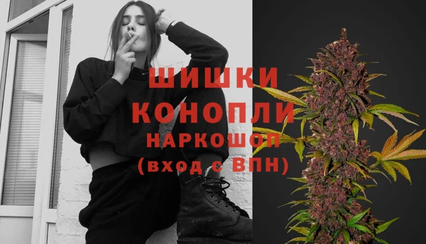 ГАЛЛЮЦИНОГЕННЫЕ ГРИБЫ Корсаков