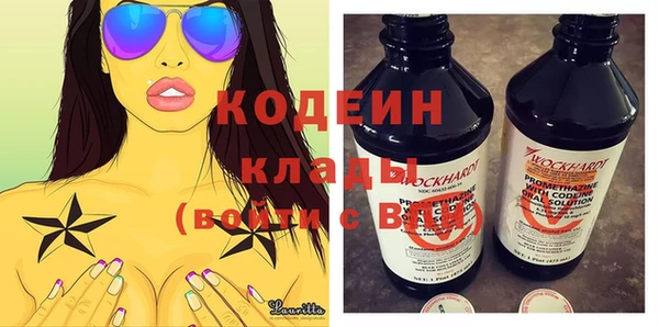 ГАЛЛЮЦИНОГЕННЫЕ ГРИБЫ Корсаков
