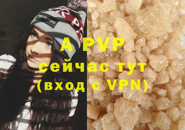 PSILOCYBIN Костерёво