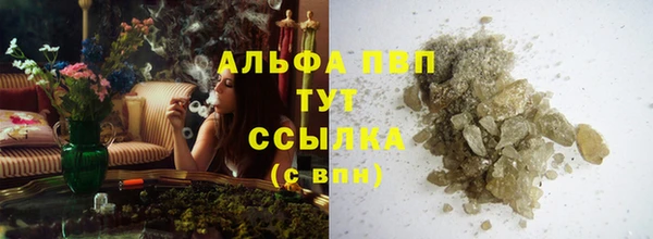 ГАЛЛЮЦИНОГЕННЫЕ ГРИБЫ Корсаков